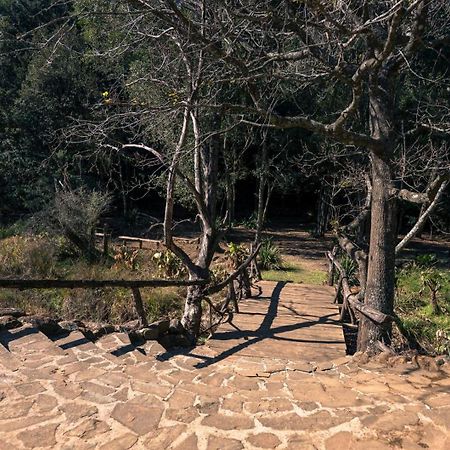 Anew Resort Ingeli Forest Kokstad Kokstad  Kültér fotó